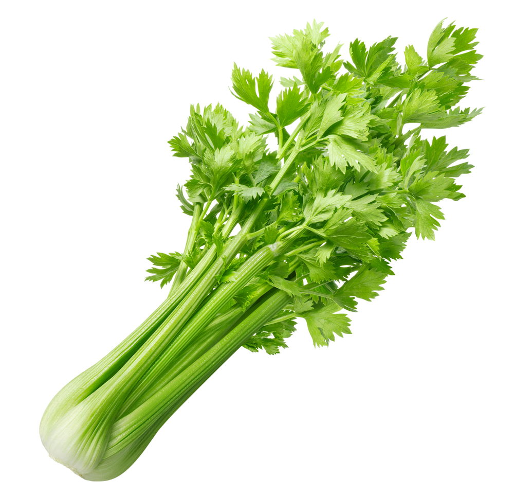 Céleri