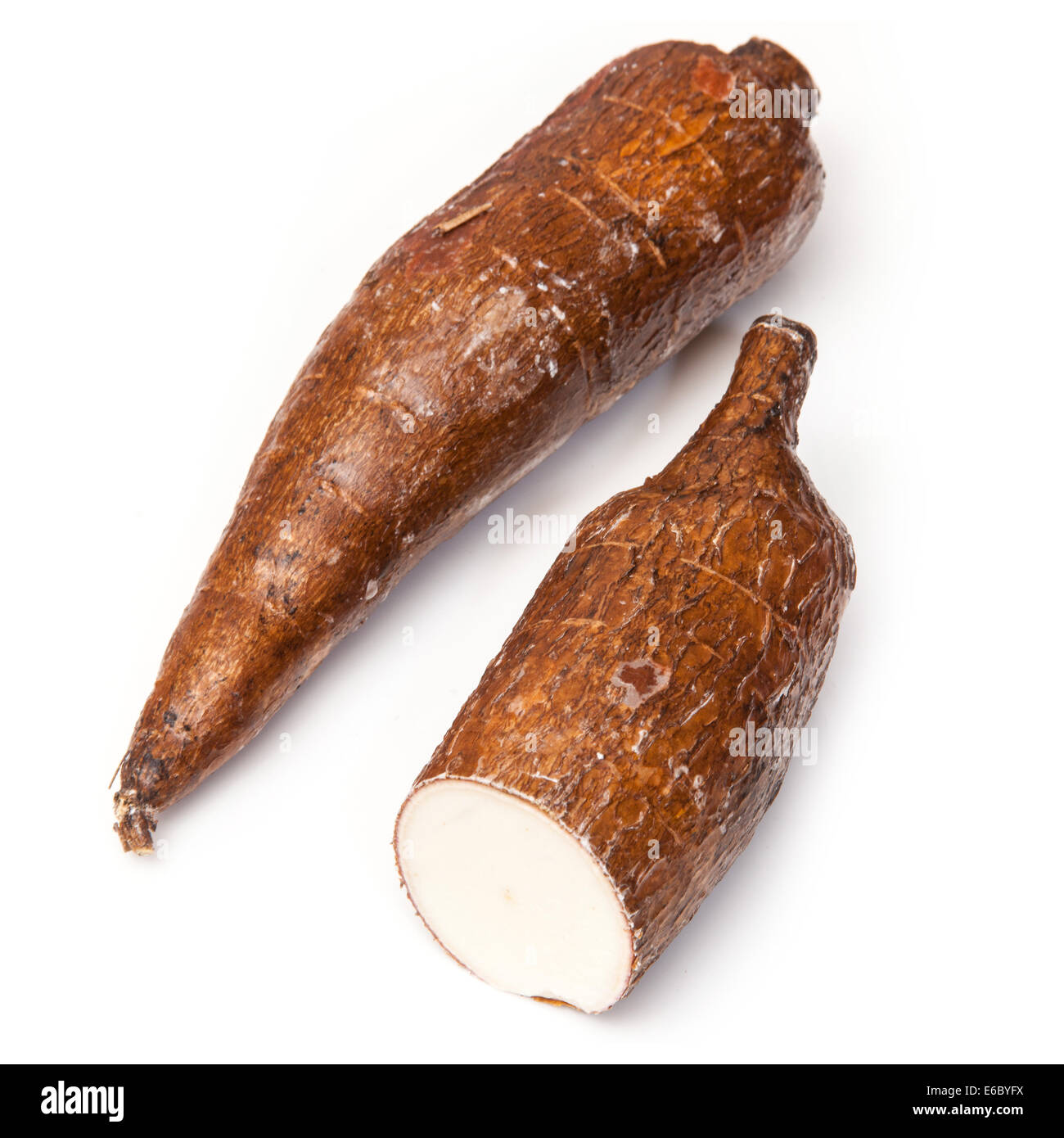 Tubercules