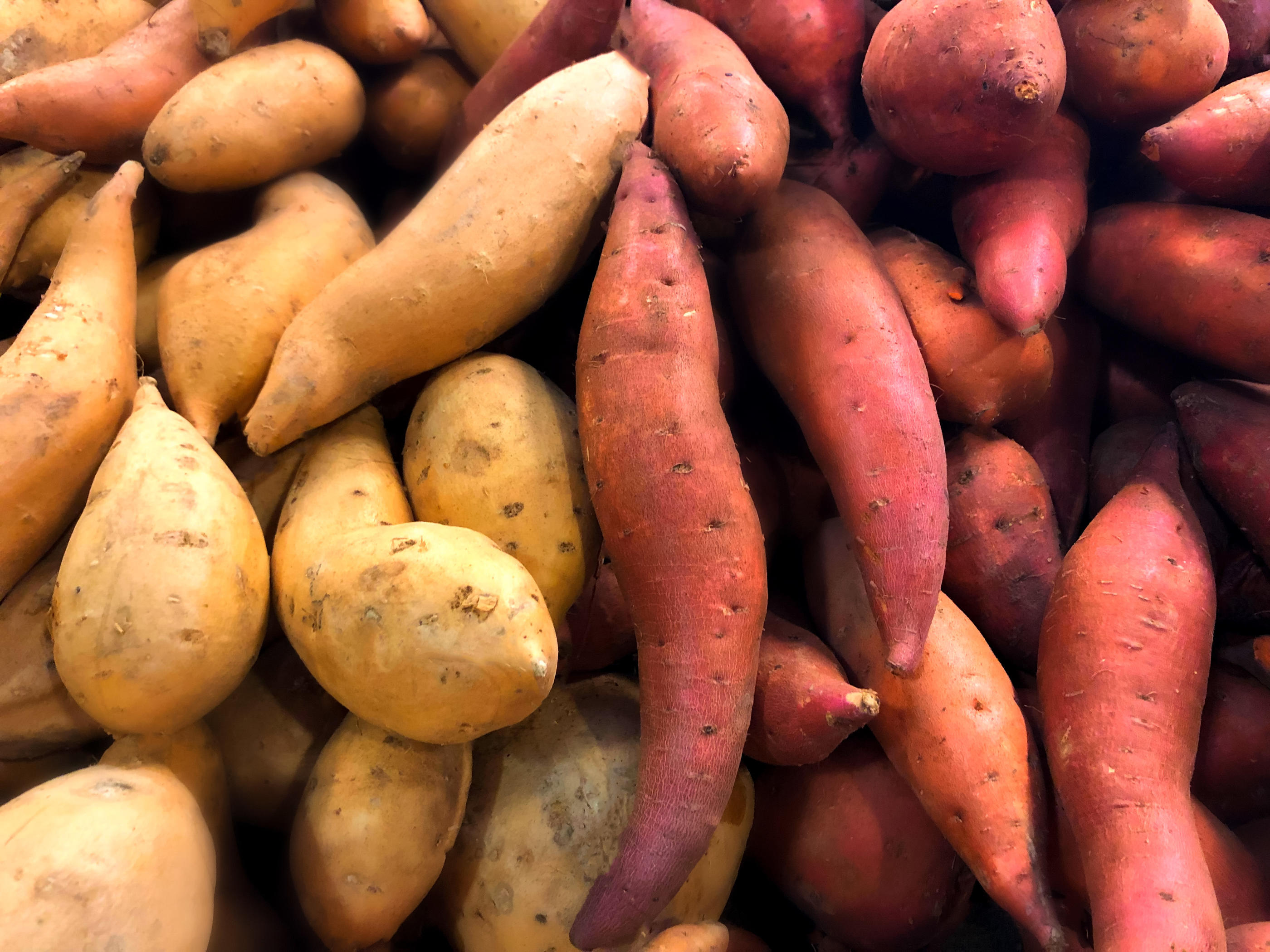 Patate