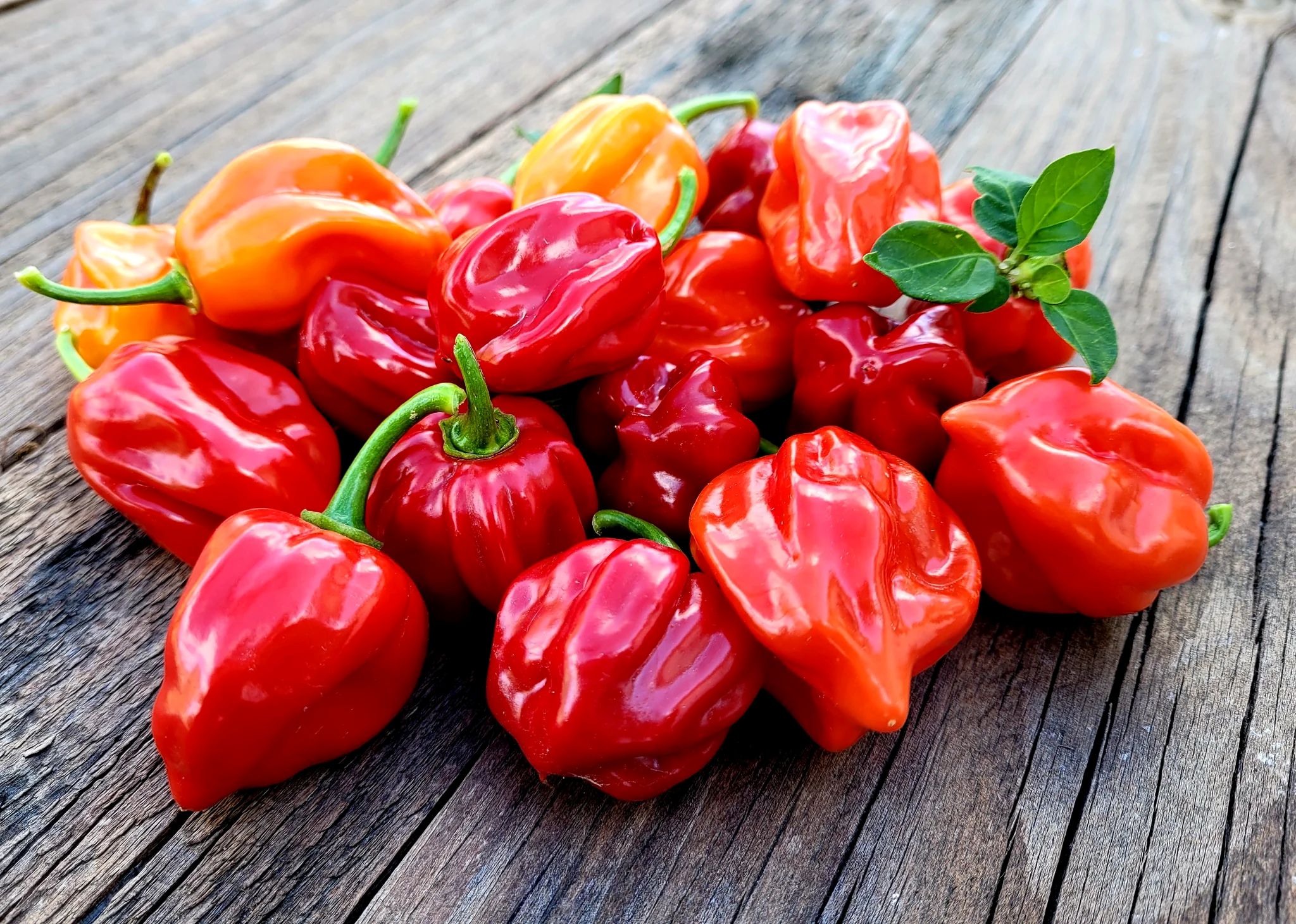 Produits du jour