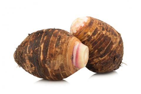 Taro